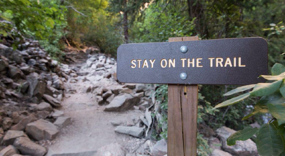 Will the internet destroy the great outdoors?